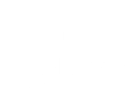 Innova S.r.l logo bianco verticale